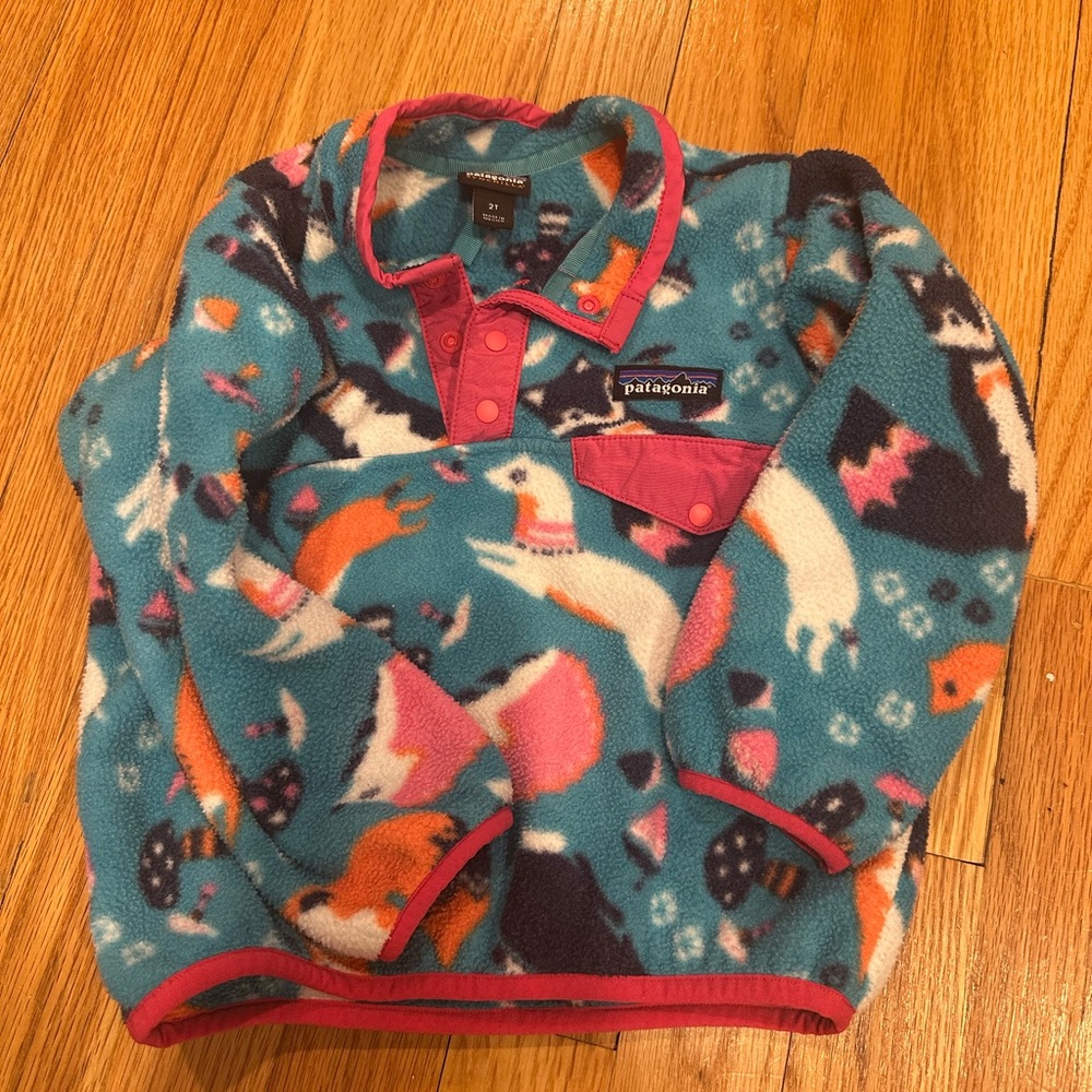 3T Patagonia 3/4 zip